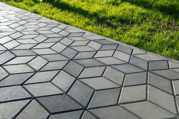 Best Brick Driveway Pavers  in Plainview, MN